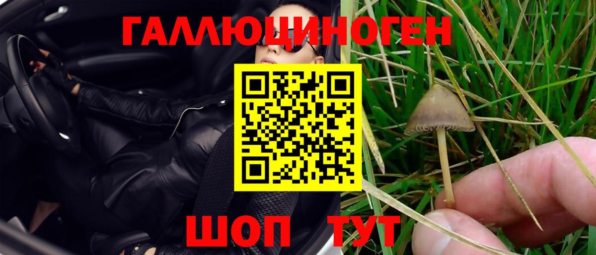 Тимашёвск  хочу   Галлюциногенные грибы Magic Shrooms  Вход с VPN  Галлюциногенные грибы мухоморы 